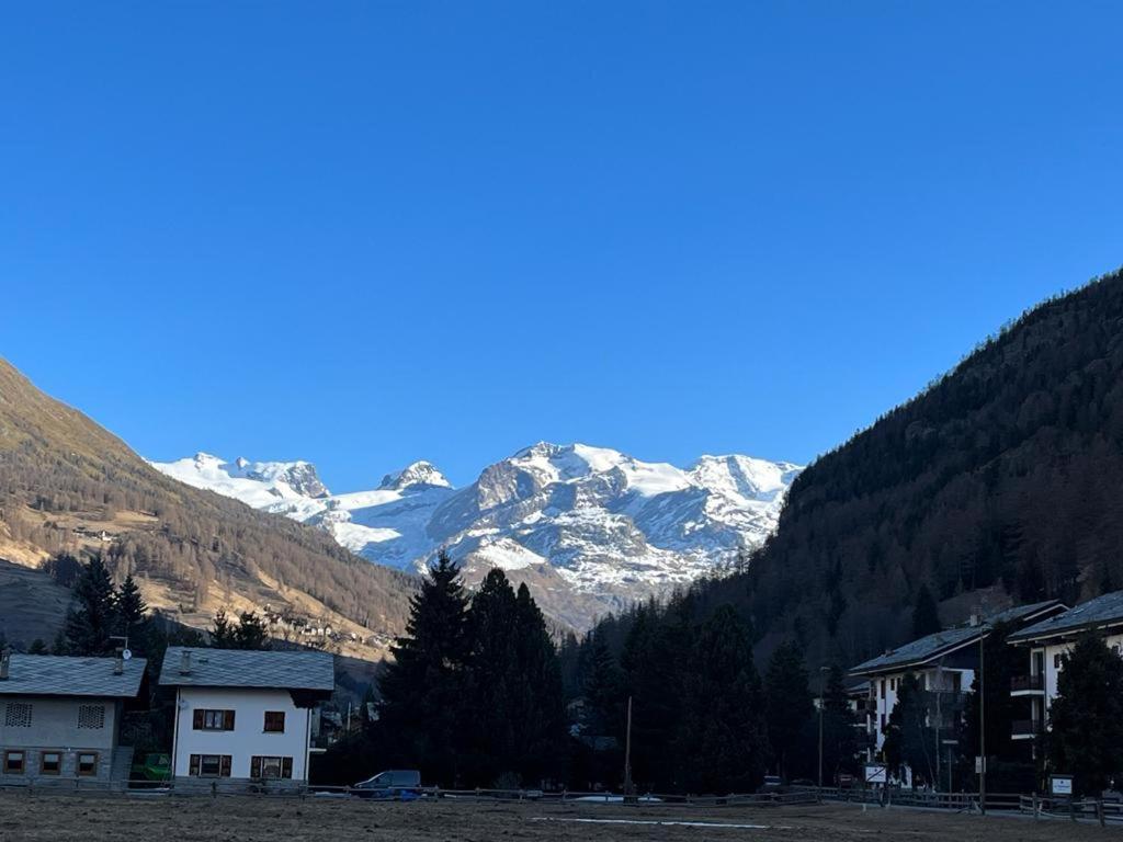 The Snow - Appartamento Panoramico Con Balcone Champoluc Eksteriør bilde